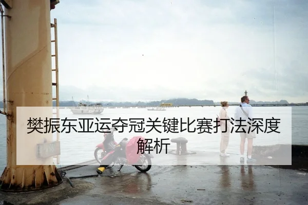 樊振东亚运夺冠关键比赛打法深度解析